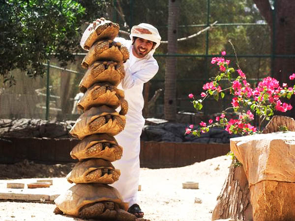 આમની તો ગેમ જ આ છે