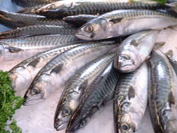 24. માછલી ખાવ:
