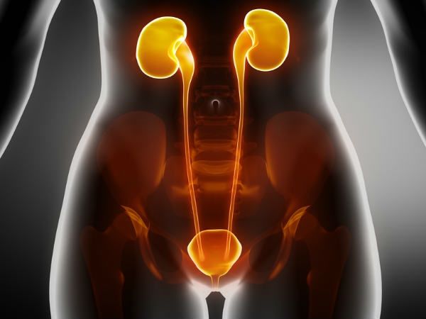 what causes kidney failure