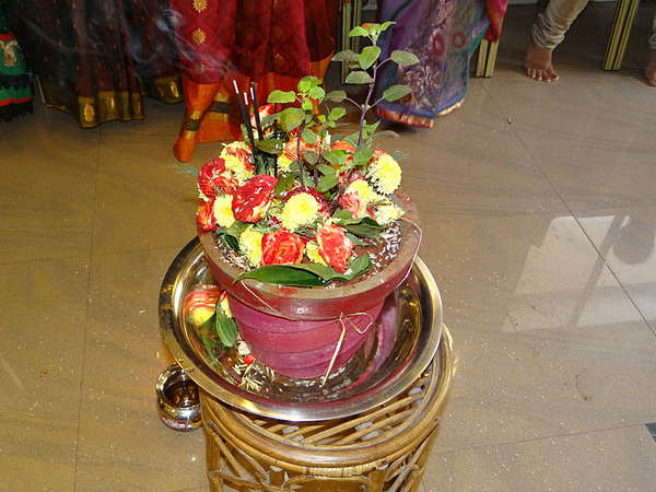 તુલસીના છોડને ઘરની અંદર લગાવી ન શકાય