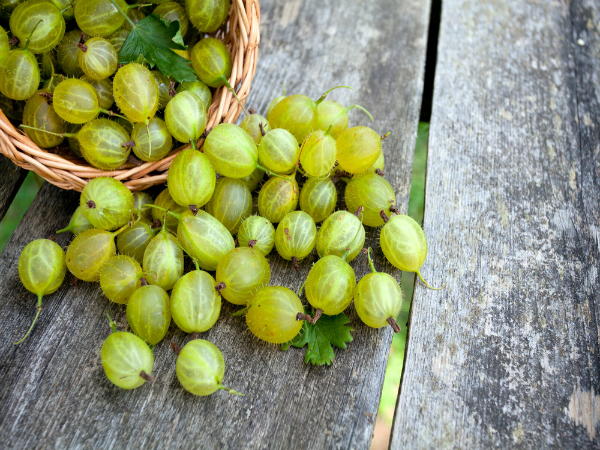 teps To Apply Amla For Hair