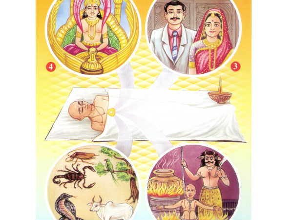 Interesting And Amazing Facts About Rebirth Interesting And Amazing Facts About Rebirth