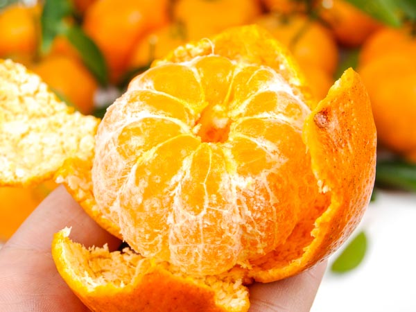 orange orange