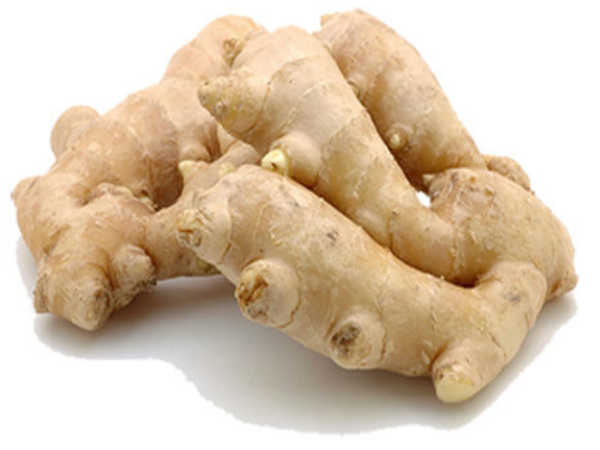 herbs to enhance memory herbs to enhance memory