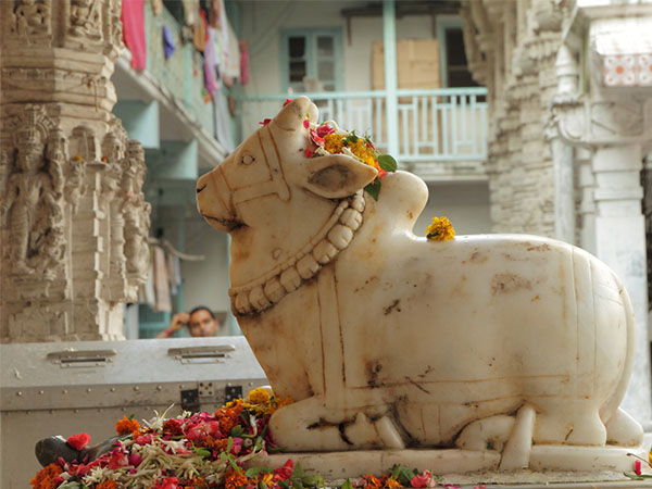 ગૌમેદ યજ્ઞ (1)