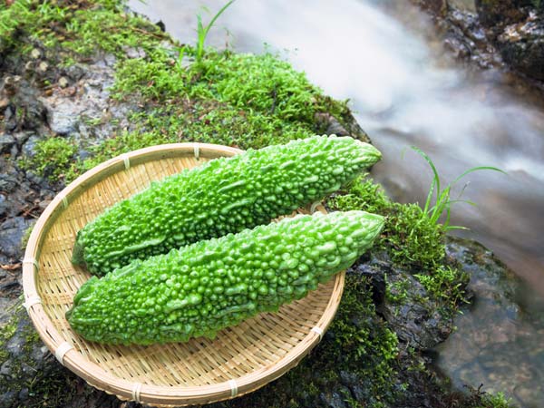 2. કારેલા