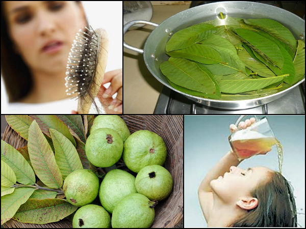 How To Use Guava Leaves For Hair Growth