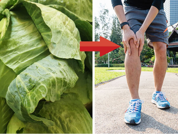 cabbage for gout