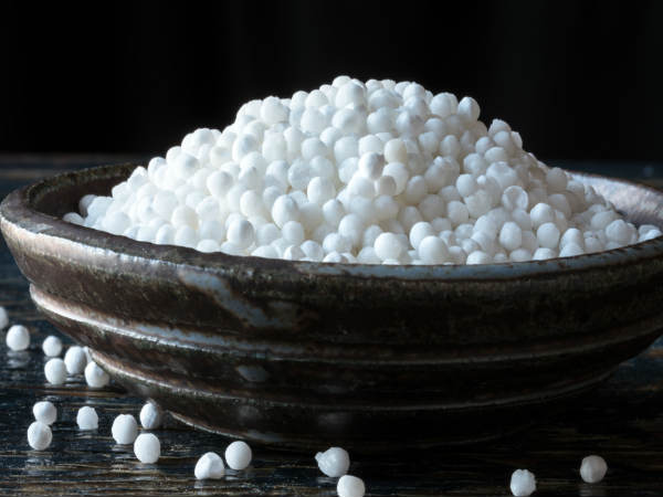 benifits of sabudana