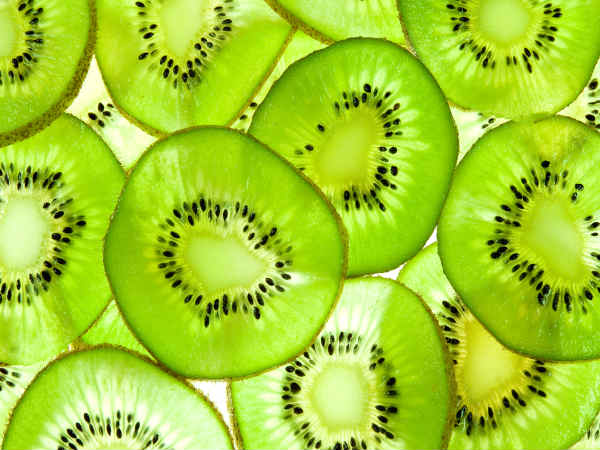 ડાયેટનો પહેલો દિવસ :