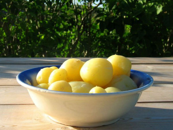 ડાયેટનો બીજો દિવસ :