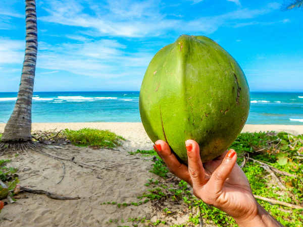 benefits of using coconut water for skin benefits of using coconut water for skin