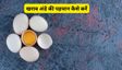 बिना तोड़े सिर्फ 1 मिनट में चल जाएगा अंडा सड़ा है या ताजा