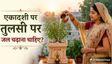 एकादशी पर तुलसी को जल चढ़ाना चाहिए या नहीं?