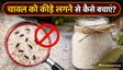 बरसात में चावल को कीड़ों से बचाने के लिए 5 घरेलू उपाय
