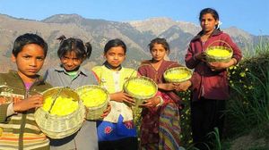 क्यों मनाया जाता है फूलदेई का त्योहार?