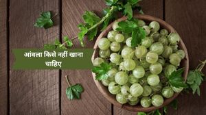 किन 5 लोगों के लिए 'जहर' समान हो सकता है आंवला