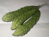 मधुमेह को दूर भगाता है कडुवा करेला