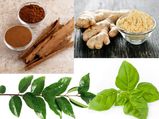 रोगों के लिए हर्बल उपचार