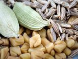 मेथी खा कर बढ जाएगी आपकी यौन क्षमता 