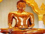 क्या तुम बुद्ध हो?