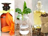 स्वस्थ रहने के लिये 10 आवश्यक तेल