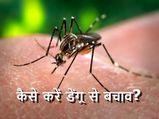 कैसे करें डेंगू से बचाव?  