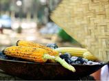 संतुलित आहार के साथ लें मानसून का मजाः डायट मंत्रा