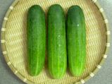 खीरा खाइये और स्‍वस्‍थ रहिये 