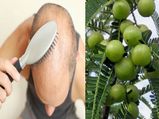 आमला रोके बालों का झड़ना 