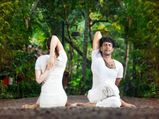गौमुखासन मधुमेह में फायदेमंद : डॉ. चिन्मय