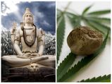  शिवरात्रि स्‍पेशल: आखिर क्‍यूं पीते हैं भगवान शंकर भांग?