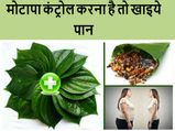 पान के पत्‍ते कैसे कर सकते हैं मोटापे में कमी? 