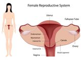 महिलाओं में प्रजनन क्षमता को दुरूस्‍त बनाएं रखने के 6 टिप्‍स 