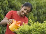 अपने बगीचे में कैसे उगाये बुनियादी सब्ज़ियाँ
