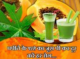  पपीते के पत्‍ते का जूस पी कर दूर करें हर रोग 