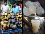 गर्मियों में खाइये ताड़गोले का फल, शरीर को जाएगा एकदम ठंडा 