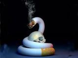 World No-Tobacco Day: स्‍मोकिंग छुड़ाने में मदद करेंगे ये हर्ब्‍स 