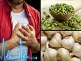  हार्ट ब्लॉकेज है तो आजमाएं ये 7 आयुर्वेदिक औषधियाँ, होगा लाभ 