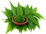   रूसी को जड़ से मिटानी है तो बालों में लगाएं नीम हेयर पैक  