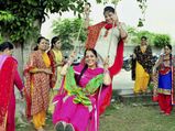 जानिए हरियाली तीज का महत्‍व 