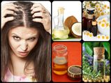  सिर की खुजली दूर करने के लिये सबसे उत्‍तम तेल 