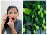  Acne से हैं परेशान? नीम के ये 7 Face Pack करेंगे जादू 