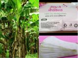 महिलाओं के लिए सस्‍ते दाम में लॉन्‍च हुआ बायोडिग्रेडिबल सैनेटरी पैड, जानिए क्‍या खास है इसमें? 