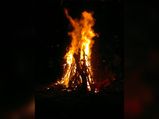 गरुड़ पुराण के अनुसार न करें होलिका दहन पर गलती से भी ये काम.. 