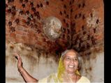 Nipah Virus से बेपरवाह, ये मह‍िला रहती है 400 चमगादड़ों के साथ
