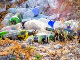 World Environment Day 2018: हवा, पानी के साथ आपकी बीयर को भी प्रदूषित कर रहा है प्‍लास्टिक 