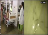 बिहार का अस्‍पताल बना एक्‍वारियम, आईसीयू वार्ड में तैरती नजरआई मछलियां! वीड‍ियो में देखिएं 