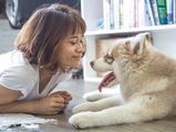 डॉग्‍स को बिलकुल पसंद नहीं आते हैं आपके ये 8 काम 