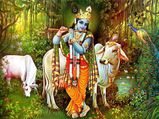 गोपाष्टमी पूजा के लिए जानें शुभ मुहूर्त, विधि और कथा